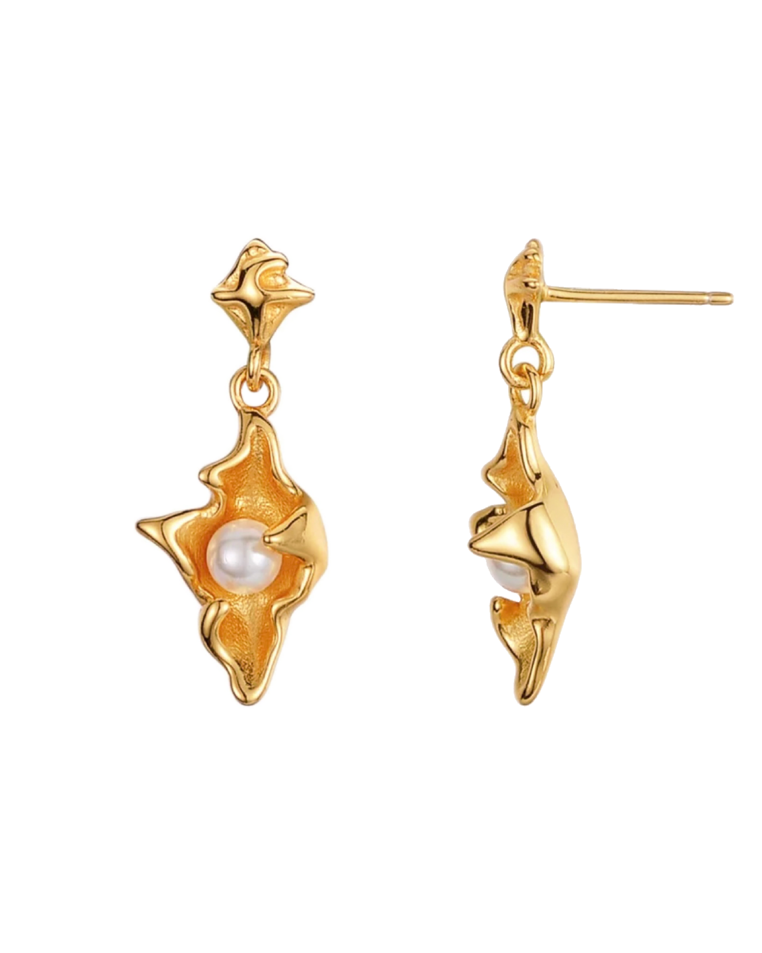 Sora Conch Earrings - Gold