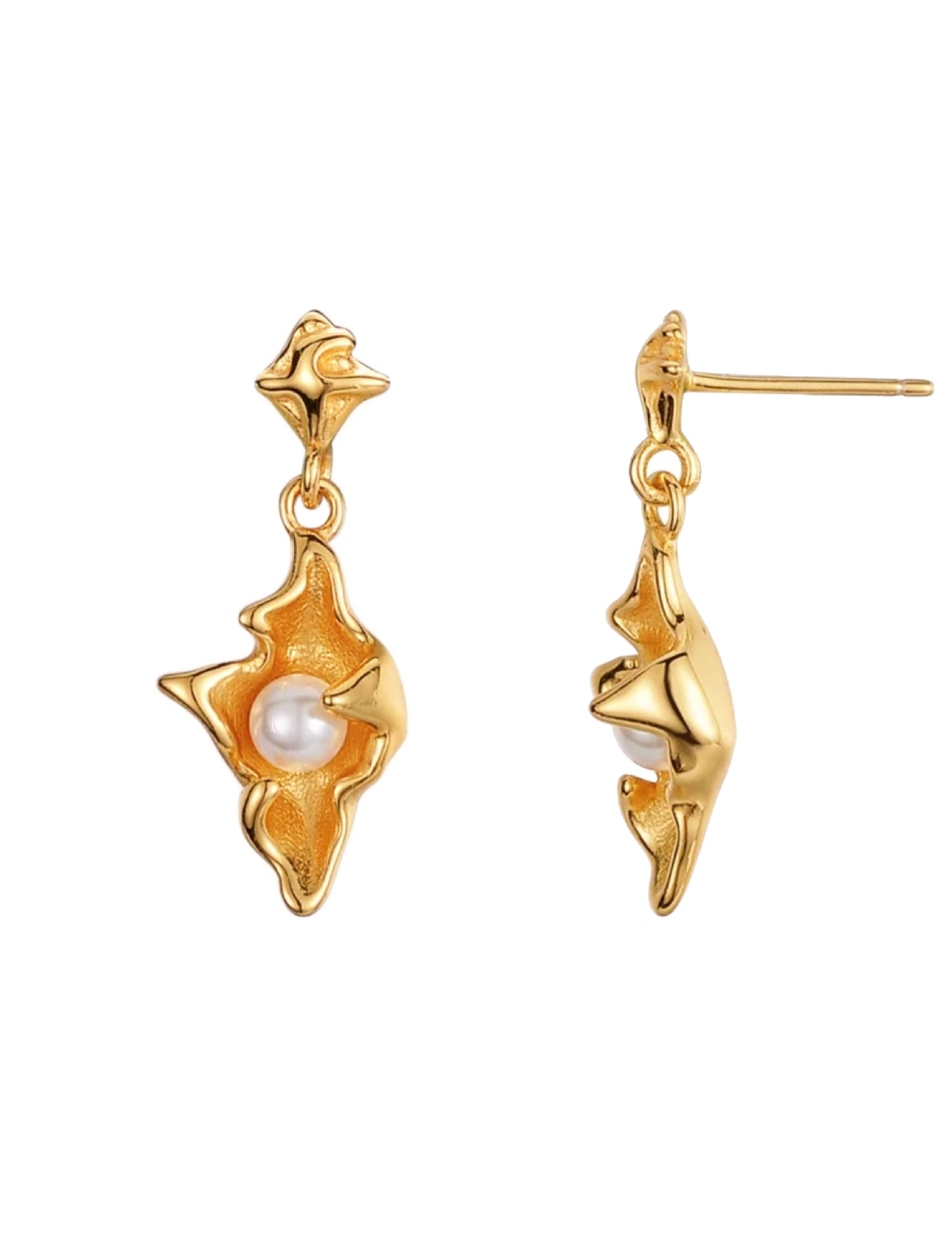 Sora Conch Earrings - Gold